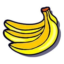 icon 4