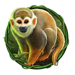 icon 3