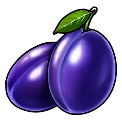 icon 5