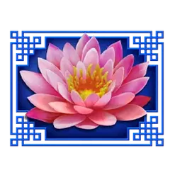 icon 3