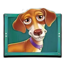 icon 4