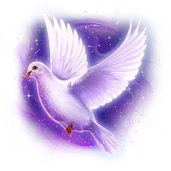 icon 4