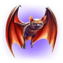 icon 4