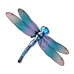 icon 3