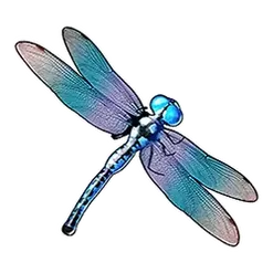 icon 3