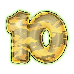 icon 10
