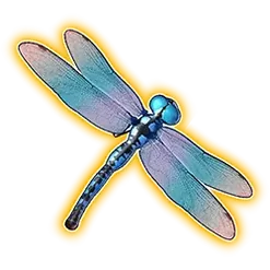 icon 4