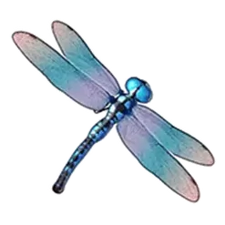 icon 3