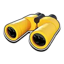 icon 4