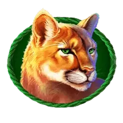 icon 4