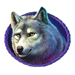 icon 4