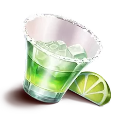 icon 4