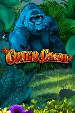Congo Cash XL