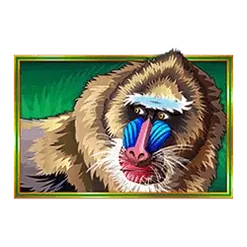 icon 2