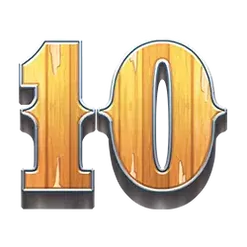 icon 10