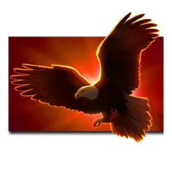 icon 3