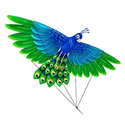 icon 2