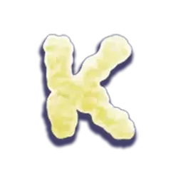 icon 6