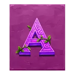 icon 5