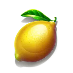 icon 5