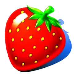 icon 1