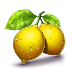 icon 4