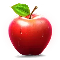 icon 2