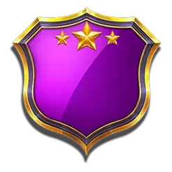 icon 13