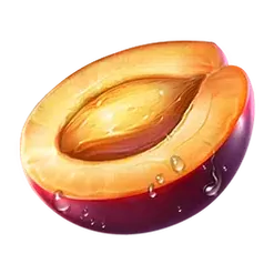 icon 7