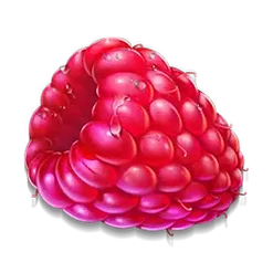 icon 3