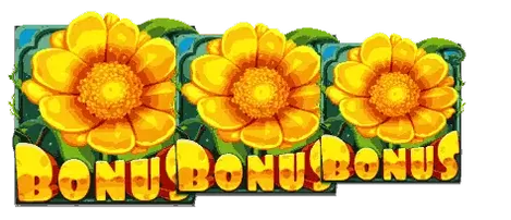 Bonus Buy Free Spins Feature