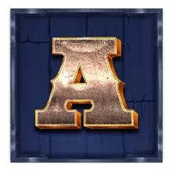 icon 5