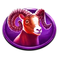 icon 5
