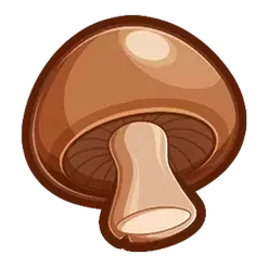 icon 5