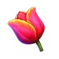 icon 4