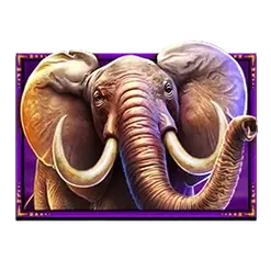 icon 1
