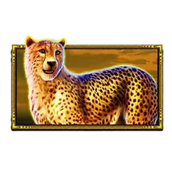 icon 3