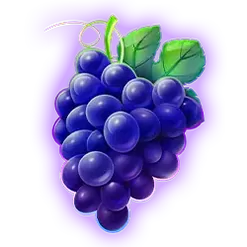 icon 5