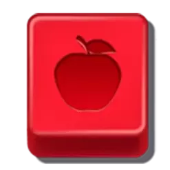 icon 5