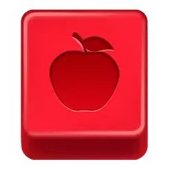 icon 6