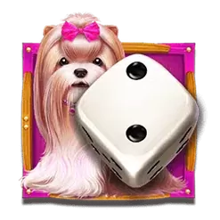 icon 3