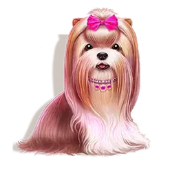 icon 2