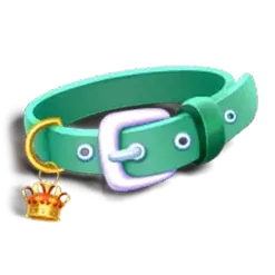 icon 5