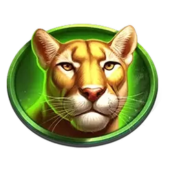 icon 4