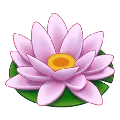 icon 5