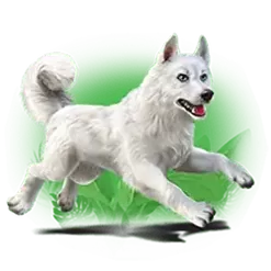 icon 2