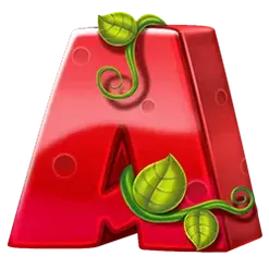 icon 4