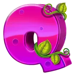 icon 6