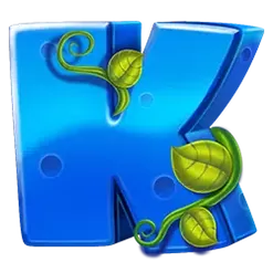 icon 5