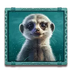 icon 5